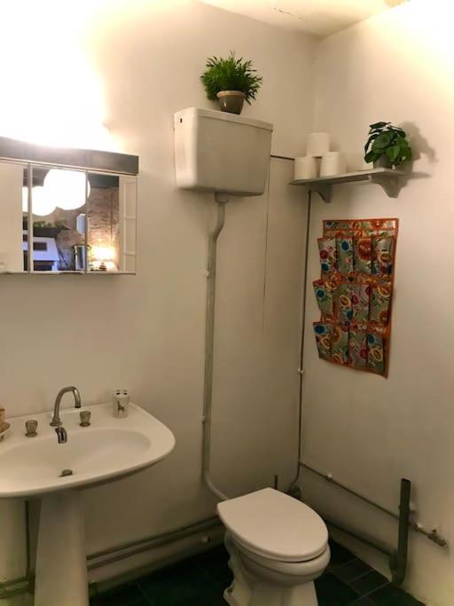 Maison Des Sequoias - Parc 1 Hectare- Veyrac 외부 사진