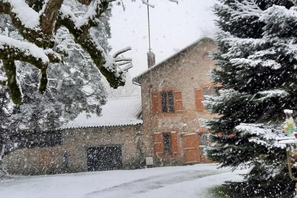 Maison Des Sequoias - Parc 1 Hectare- Veyrac 외부 사진