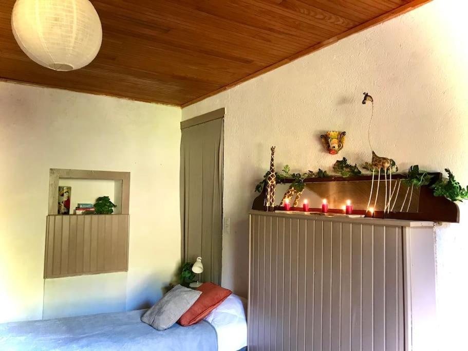 Maison Des Sequoias - Parc 1 Hectare- Veyrac 외부 사진